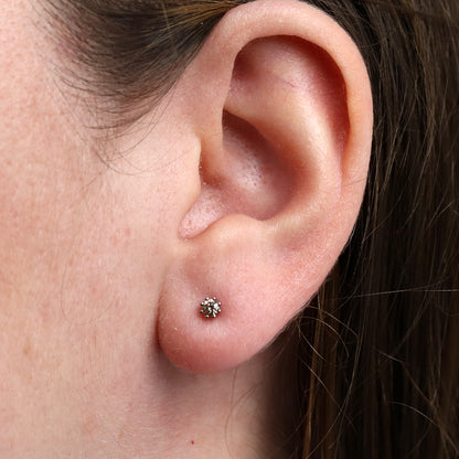 Stecker Weißgold mit braunen Brillanten